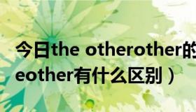 今日the otherother的区别（anyother和theother有什么区别）