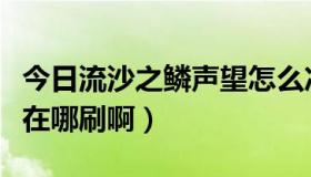 今日流沙之鳞声望怎么冲（流沙之鳞的声望是在哪刷啊）