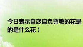 今日表示自恋自负尊敬的花是（代表“自负、自恋、尊敬”的是什么花）