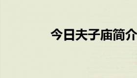 今日夫子庙简介 200字以内