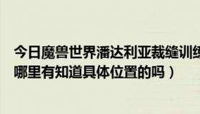 今日魔兽世界潘达利亚裁缝训练师（潘达利亚裁缝训练师在哪里有知道具体位置的吗）