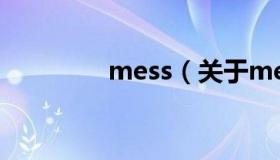 mess（关于mess的介绍）