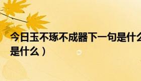 今日玉不琢不成器下一句是什么呀（玉不琢不成器的下一句是什么）