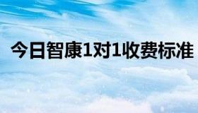 今日智康1对1收费标准（智康1对1怎么样）