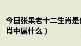 今日张果老十二生肖是什么（张果老在十二生肖中属什么）