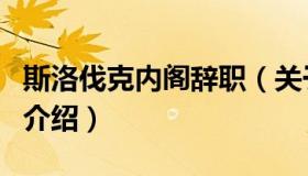 斯洛伐克内阁辞职（关于斯洛伐克内阁辞职的介绍）