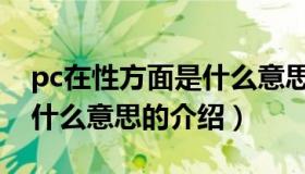 pc在性方面是什么意思（关于pc在性方面是什么意思的介绍）