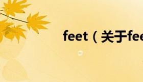 feet（关于feet的介绍）