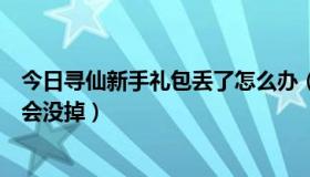 今日寻仙新手礼包丢了怎么办（寻仙摇钱树宝箱没开是不是会没掉）