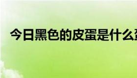 今日黑色的皮蛋是什么蛋（皮蛋是什么蛋）