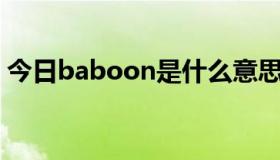 今日baboon是什么意思（BAB是什么意思）