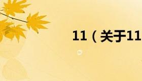 11（关于11的介绍）