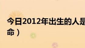 今日2012年出生的人是什么命（2012年什么命）