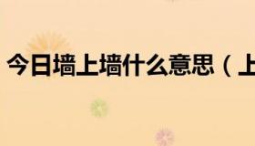 今日墙上墙什么意思（上墙、求上墙啥意思）