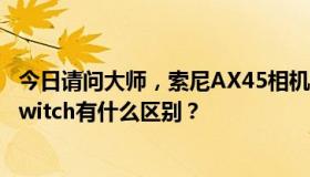 今日请问大师，索尼AX45相机双录是什么意思，switch和switch有什么区别？