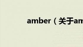 amber（关于amber的介绍）