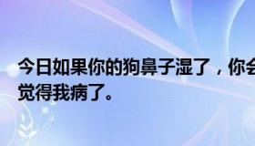 今日如果你的狗鼻子湿了，你会有什么感觉？感觉不湿。我觉得我病了。