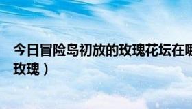 今日冒险岛初放的玫瑰花坛在哪（冒险岛哪里可以挖到一朵玫瑰）