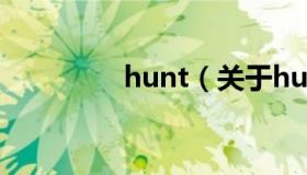 hunt（关于hunt的介绍）