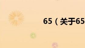 65（关于65的介绍）