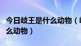 今日岐王是什么动物（岐王宅里寻常见描写什么动物）