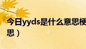 今日yyds是什么意思梗 怎么回（YY是什么意思）