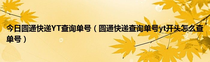 今日圓通快遞yt查詢單號(圓通快遞查詢單號yt開頭怎麼查單號)_之間網