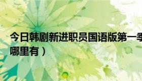 今日韩剧新进职员国语版第一季（韩剧《新进职员》国语版哪里有）