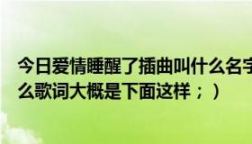 今日爱情睡醒了插曲叫什么名字（爱情睡醒了这歌曲名叫什么歌词大概是下面这样；）