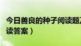 今日善良的种子阅读题及答案（善良的种子阅读答案）