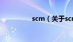 scm（关于scm的介绍）