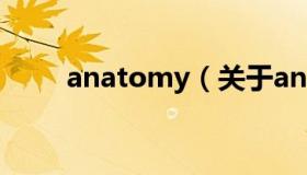 anatomy（关于anatomy的介绍）