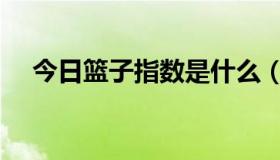 今日篮子指数是什么（篮球指数哪里好）