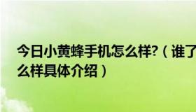 今日小黄蜂手机怎么样?（谁了解“小黄蜂手机，它性能怎么样具体介绍）