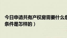 今日申请共有产权房需要什么条件和资料（共有产权房申请条件是怎样的）