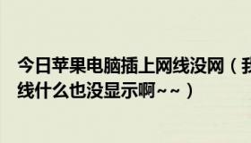 今日苹果电脑插上网线没网（我的苹果本如何上网啊插上网线什么也没显示啊~~）