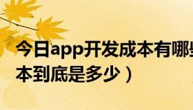 今日app开发成本有哪些（开发一个app的成本到底是多少）