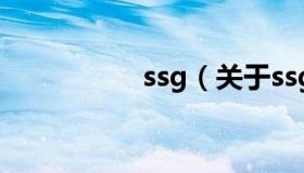 ssg（关于ssg的介绍）