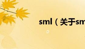 sml（关于sml的介绍）