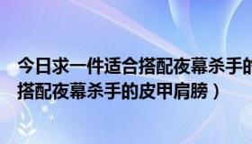 今日求一件适合搭配夜幕杀手的皮甲肩膀衣服（求一件适合搭配夜幕杀手的皮甲肩膀）