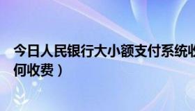 今日人民银行大小额支付系统收费标准（大小额支付系统如何收费）