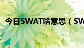 今日SWAT啥意思（SWAT 是什么意思啊）