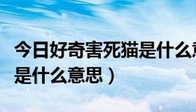 今日好奇害死猫是什么意思电影（好奇害死猫是什么意思）