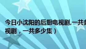 今日小沈阳的后厨电视剧,一共多少集完结（小沈阳的后厨电视剧，一共多少集）