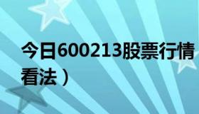 今日600213股票行情（股票600213，最近看法）