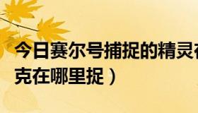 今日赛尔号捕捉的精灵在哪里找到（赛尔号查克在哪里捉）