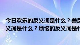 今日欢乐的反义词是什么？善良的反义词是什么？恐惧的反义词是什么？烦恼的反义词是什么？