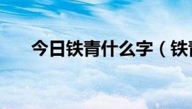 今日铁青什么字（铁青是什么意思啊）