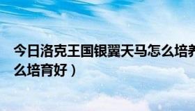 今日洛克王国银翼天马怎么培养（洛克王国天空组什么跟什么培育好）