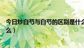 今日炒白芍与白芍的区别是什么（炒白芍和白芍的区别是什么）